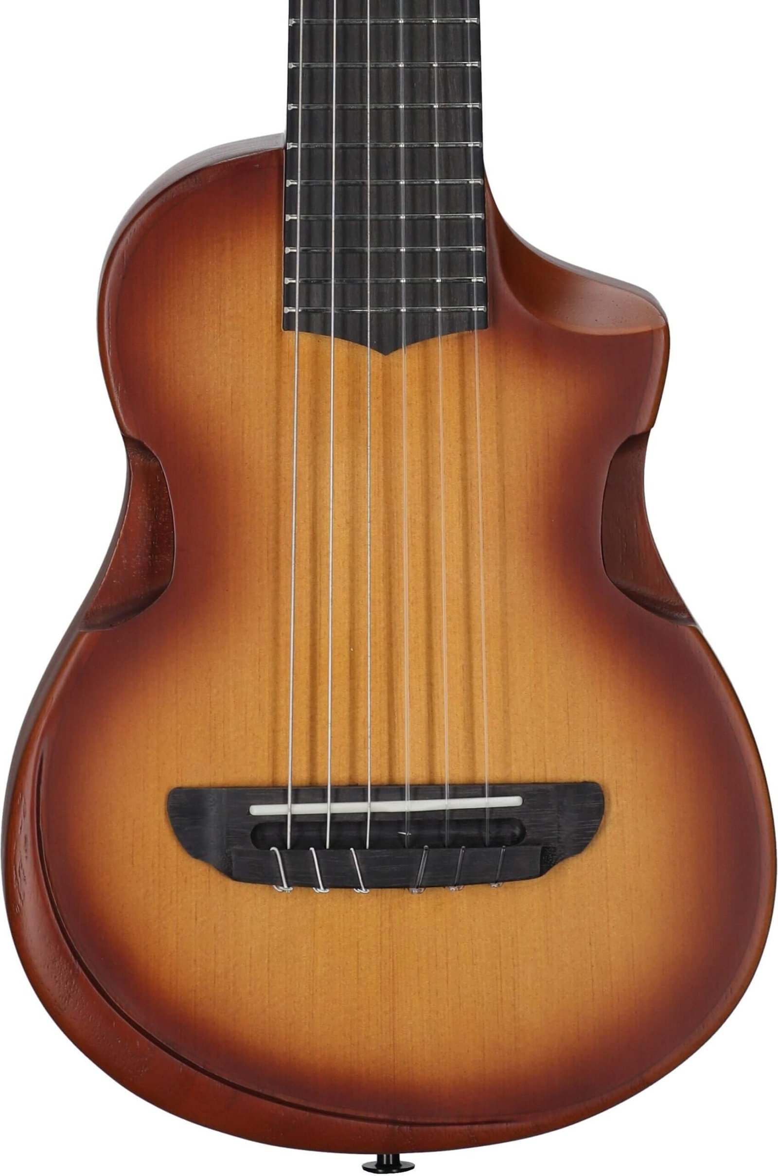 Ibanez AUP10N Tenor Ukulele (with Gig Bag), Open Pore Light Brown Sunburst